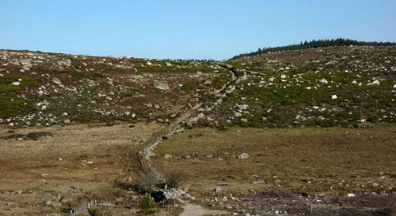 Sentier d'estives, Vallon du Piou