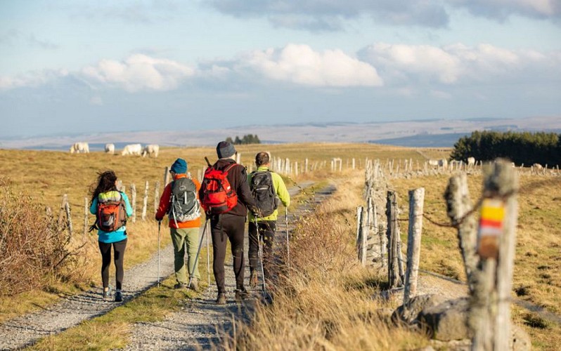 Randonneurs sur le Tour des Monts d'Aubrac