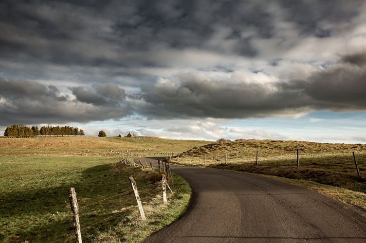 Routes et chemins sur le Haut-Plateau