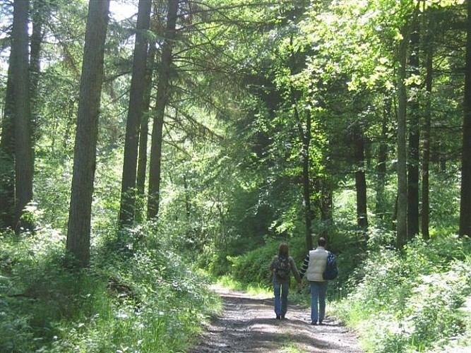 Wandeling van de "Berceau du Bocq"