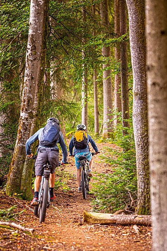 Circuit VTT n°50 du Beuletin et des étangs - Faucogney-et-la-Mer - Vosges du sud