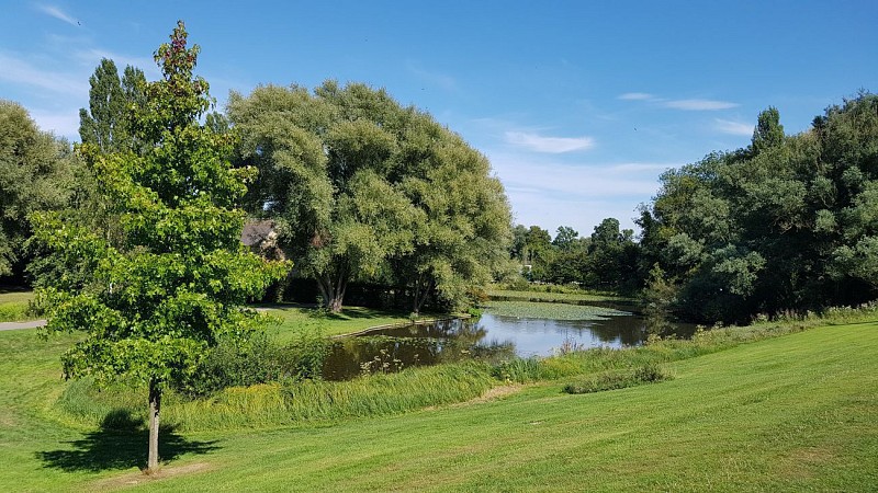 Au fil de la Lézarde