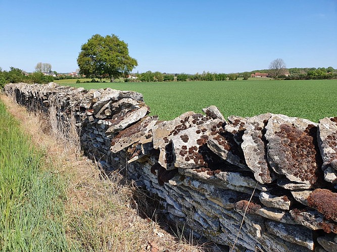 Randonnée - Druy-Parigny