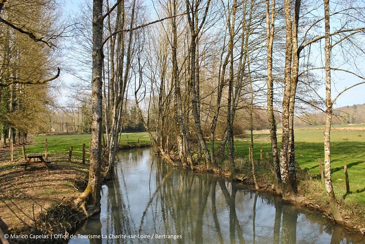 Beaumont-la-ferriere 