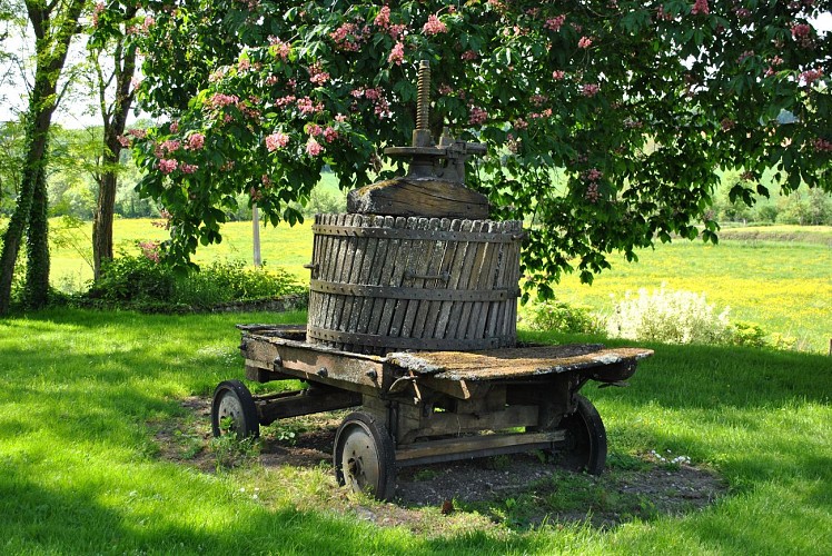 Pressoir à vin Chasnay