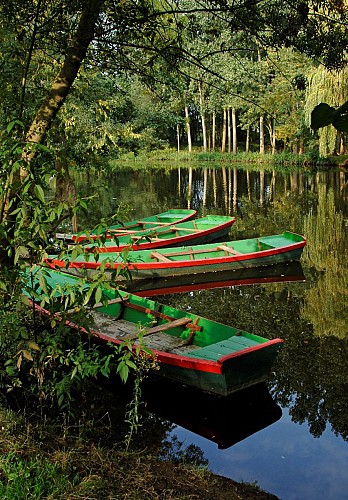 GR3®, de La Pommeraye à Champtoceaux