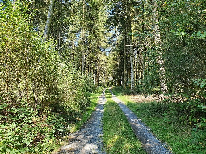 Prom Poilus sept 21MTBA AV