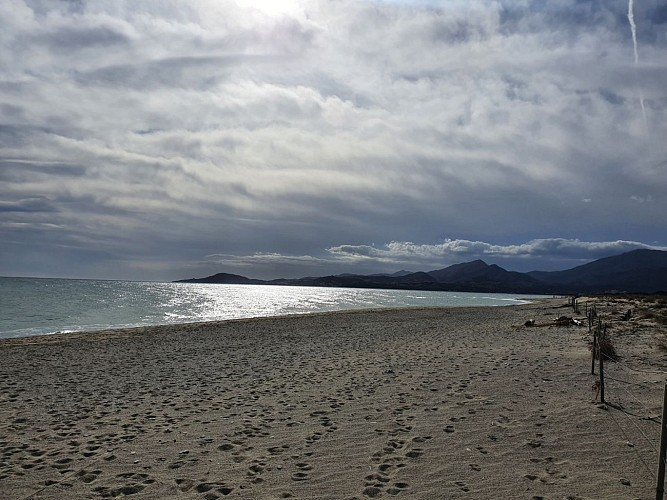 Visite thématique autour de l'eau  sur le fleuve du Tech dans les Pyrénées-Orientales