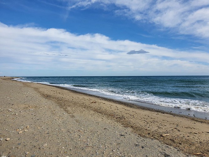 Visite thématique autour de l'eau  sur le fleuve du Tech dans les Pyrénées-Orientales
