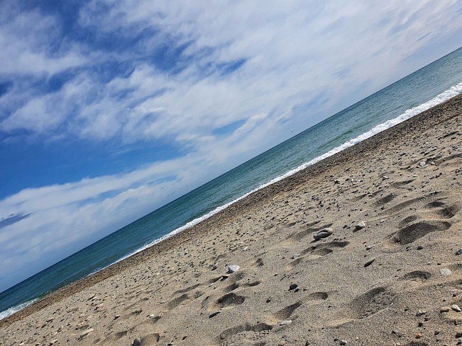 Visite thématique autour de l'eau  sur le fleuve du Tech dans les Pyrénées-Orientales