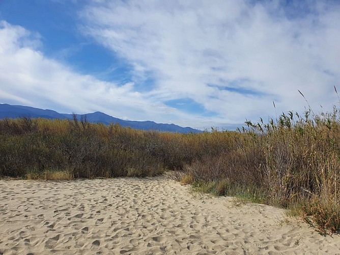 Visite thématique autour de l'eau  sur le fleuve du Tech dans les Pyrénées-Orientales
