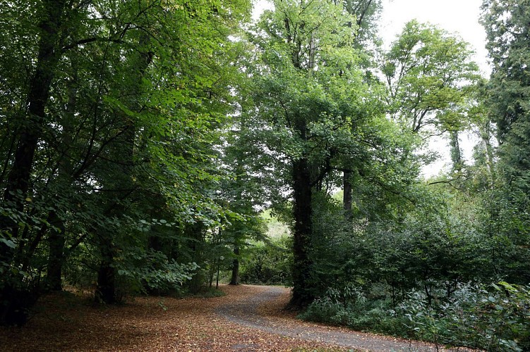 Parcours VTT bleu sportif