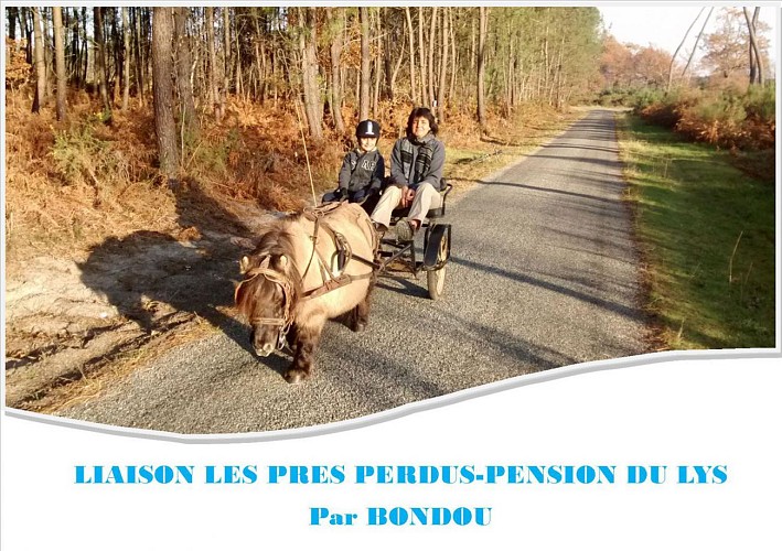 Liaison Les Prés Perdus- Pension du Lys par Bondou