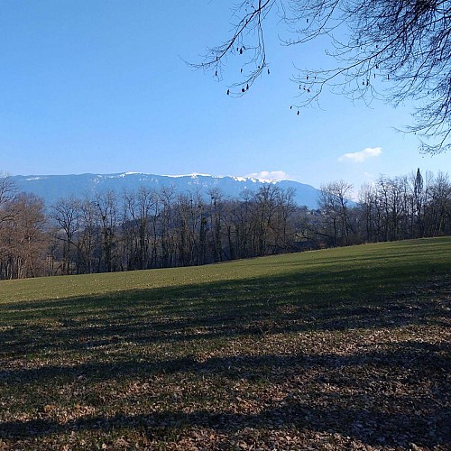 la campagne vers Vons