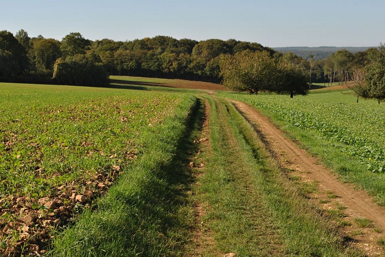 La Celle-sur-Nièvre