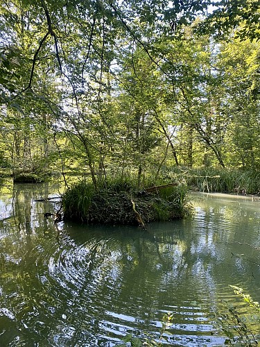 Fontaine des bougers