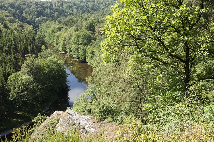 Labohanan Gaume 1