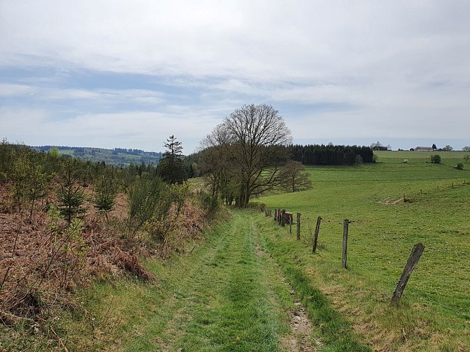 Gros Fays prom rect vert Six Planes avr 20 MTBA AV