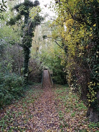 DU TARN AU MOULIN