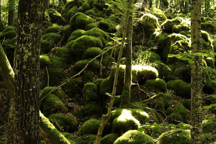 Rando la Cheire de Tournebise