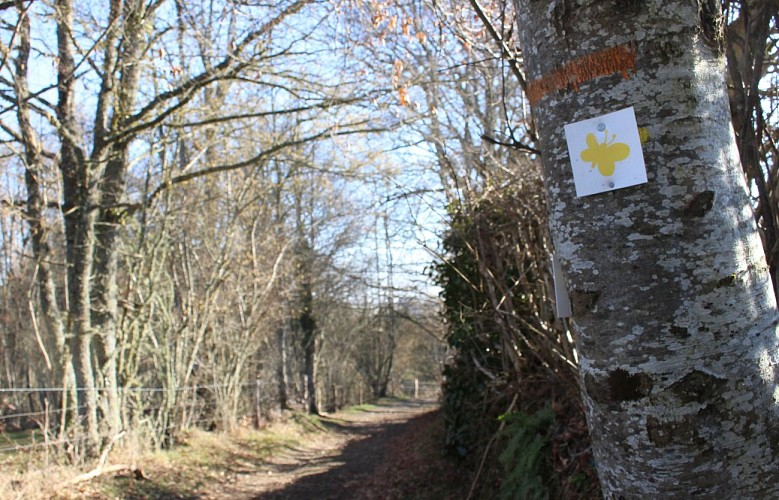 Balade de Léa et Tino