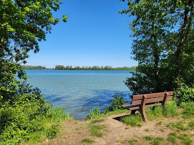 Circuit de l'Observatoire aux oiseaux