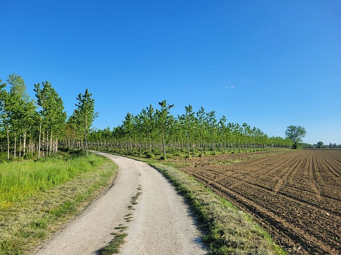 Circuit de l'Observatoire aux oiseaux