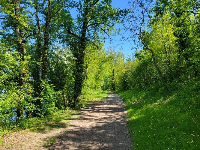 Circuit de l'Observatoire aux oiseaux