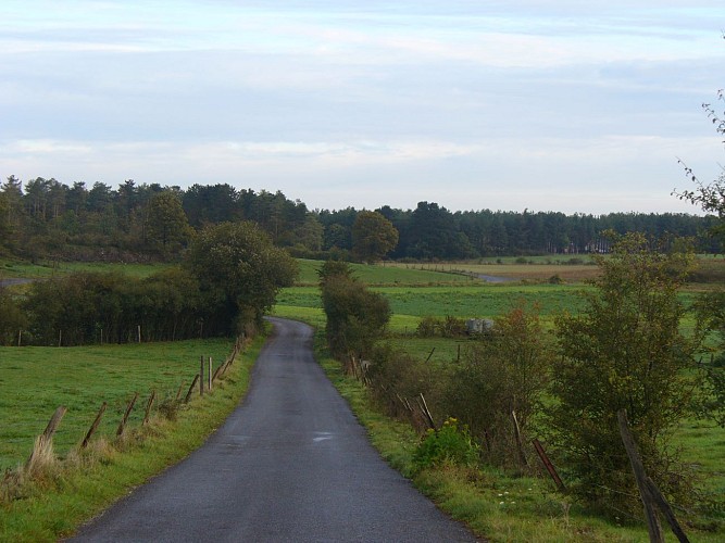Beauraing 1 (croix jaune)