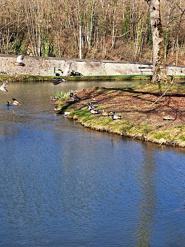 Beauraing 1 (croix jaune)