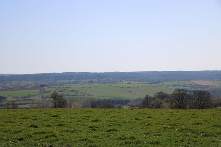 Beauraing 1 (croix jaune)