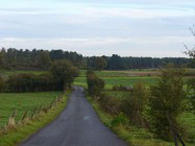 Beauraing 1( gele kruis)