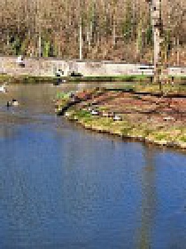 Beauraing 1( gele kruis)