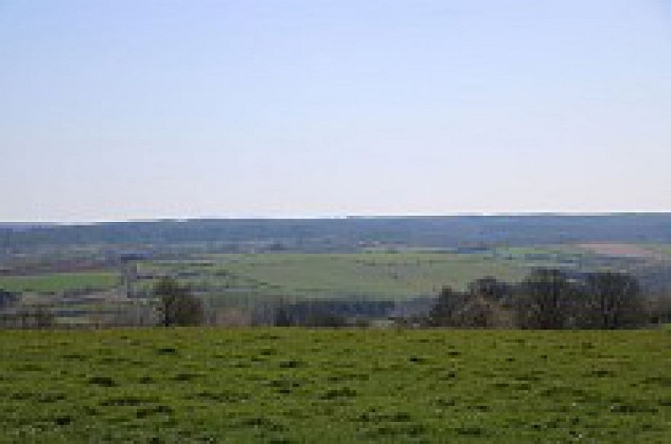 Beauraing 1( gele kruis)