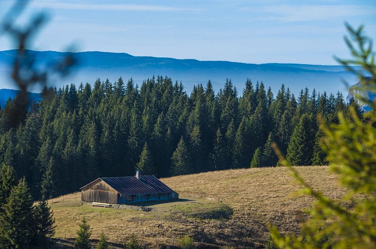 plateau Beauregard