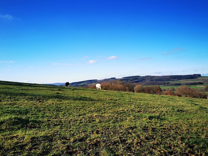 Die Straße der Aussichtspunkte (La route des points de vue) - Nassogne