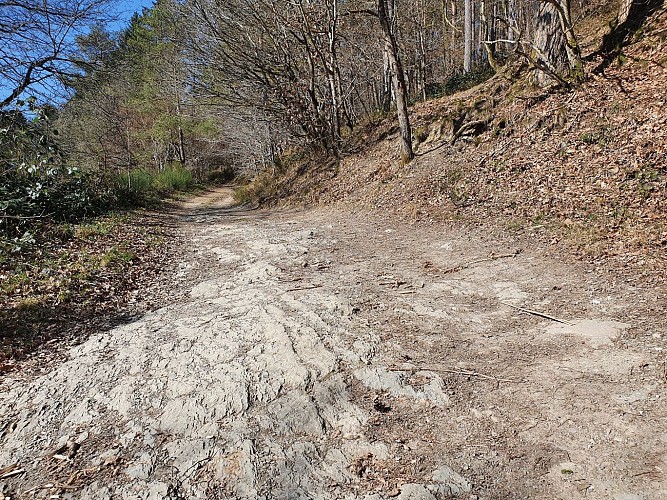 Poupehan hiver 22 prom 24 MTBA AV (8) - Copie