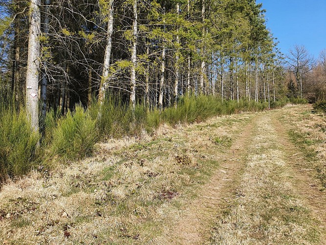 Poupehan hiver 22 prom 24 MTBA AV (20)