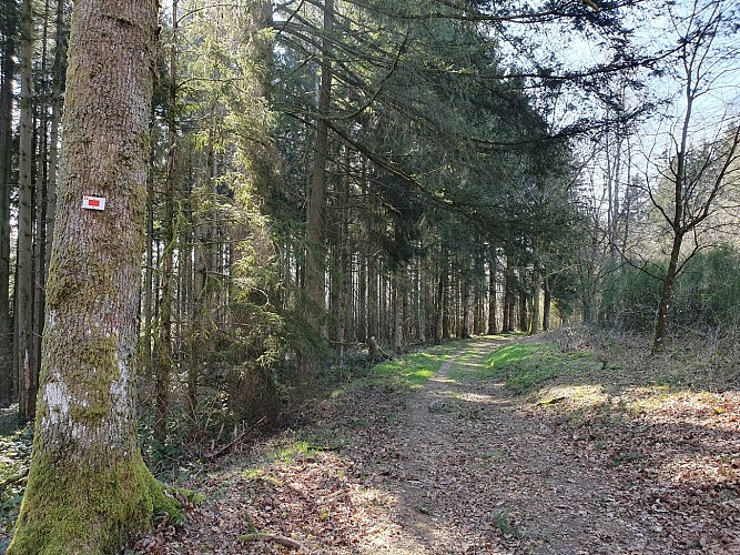 Poupehan hiver 22 prom 24 MTBA AV (34)