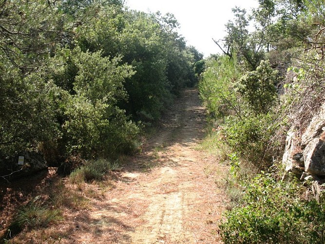 The “Capitelles” - Trail of Fontanilles