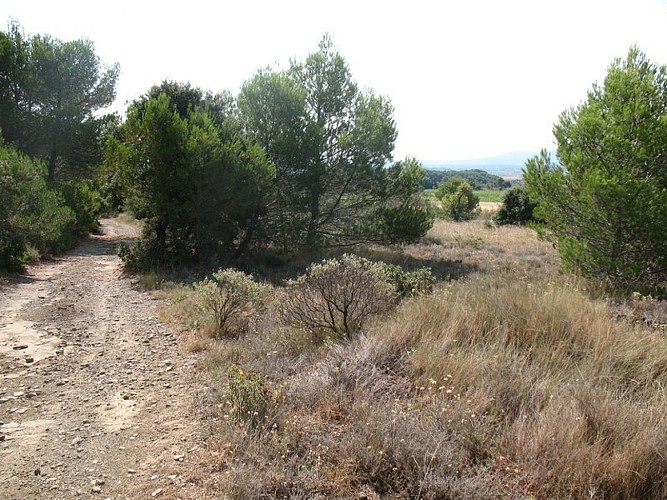 The “Capitelles” - Trail of Fontanilles