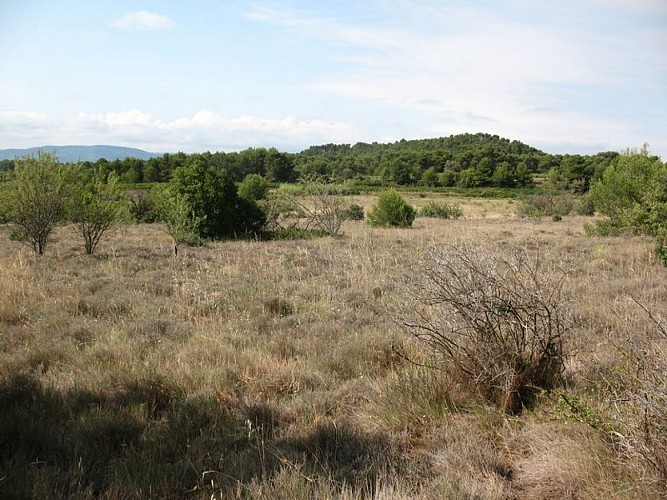 The “Capitelles” - Trail of Fontanilles