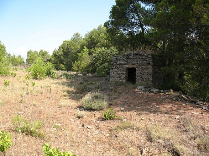 The “Capitelles” - Trail of Fontanilles