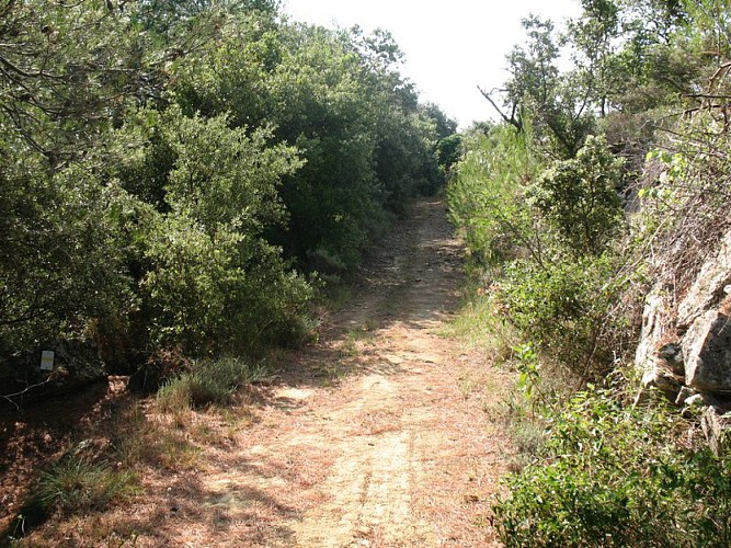 Les capitelles - Chemin de Fontanilles