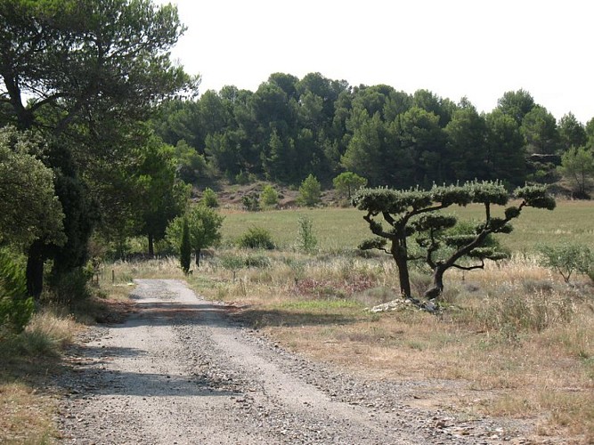 Les capitelles - Chemin de Fontanilles