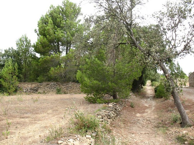 The capitelles - Chemin de la Guinette