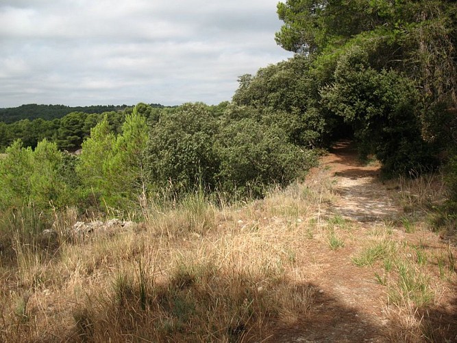 The capitelles - Chemin de la Guinette