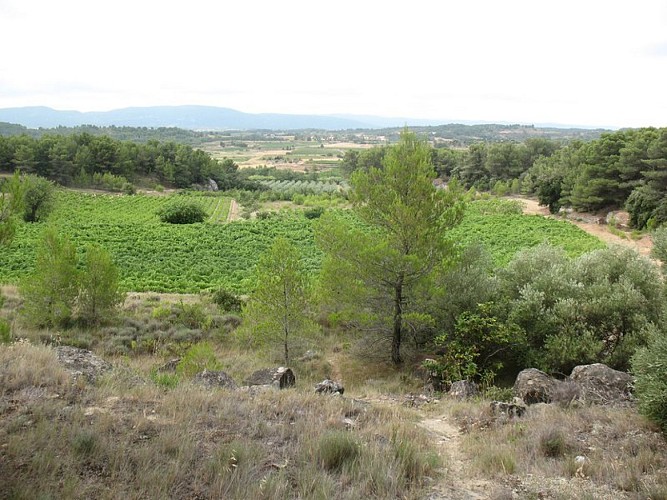 The capitelles - Chemin de la Guinette