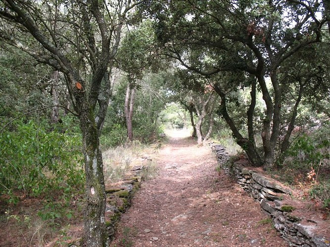 The “Capitelles” - Trail of Rancoule