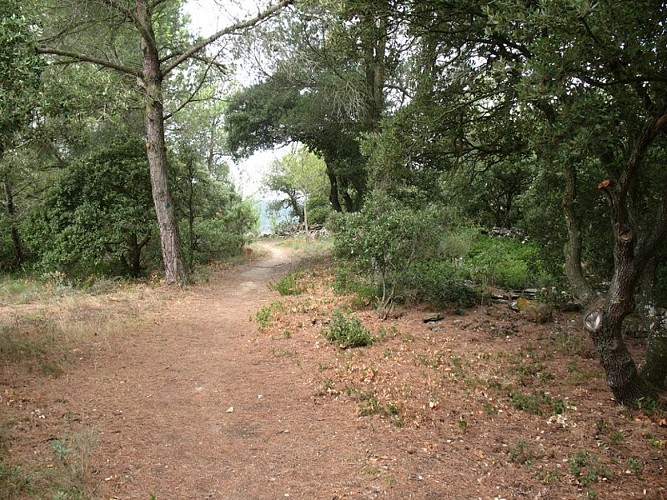 The “Capitelles” - Trail of Rancoule